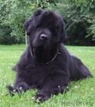 Превью фото № 20405