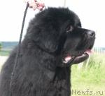 Превью фото № 20414