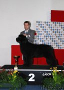 Превью фото № 204163