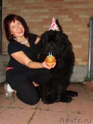 Превью фото № 204189