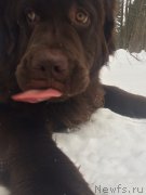 Превью фото № 204242