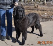 Превью фото № 204260