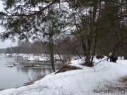 Превью фото № 204271