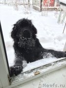 Превью фото № 204284