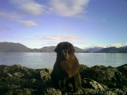 Превью фото № 204332