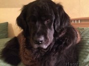 Превью фото № 204343