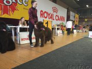 Превью фото № 204386