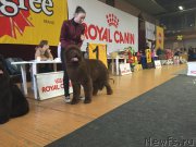 Превью фото № 204387