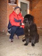 Превью фото № 204412