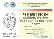 Превью фото № 204416