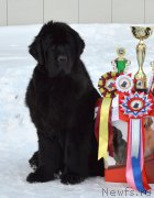 Превью фото № 204417