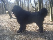 Превью фото № 204431