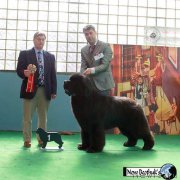 Превью фото № 204435