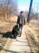 Превью фото № 204551