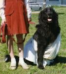 Превью фото № 20456