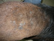 Превью фото № 204667