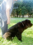 Превью фото № 204700