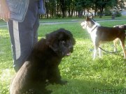 Превью фото № 204701