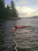 Превью фото № 204773