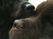 Превью фото № 204792