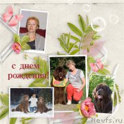 Превью фото № 204803