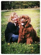 Превью фото № 204890