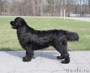 Превью фото № 204906