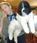 Превью фото № 204915