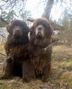 Превью фото № 204928