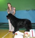 Превью фото № 20494