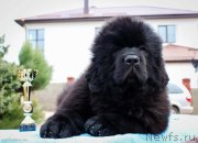 Превью фото № 204962