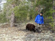 Превью фото № 205009