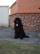 Превью фото № 205014