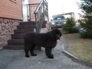 Превью фото № 205017