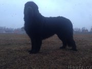 Превью фото № 205019