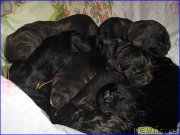 Превью фото № 205023