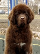 Превью фото № 205057