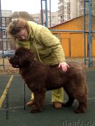 Превью фото № 205061