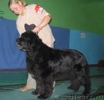 Превью фото № 20508