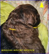 Превью фото № 205086