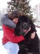 Превью фото № 205092