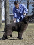 Превью фото № 205108