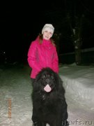 Превью фото № 205113