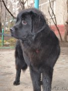 Превью фото № 205151