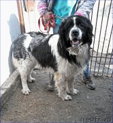 Превью фото № 205330