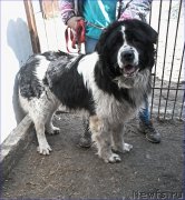 Превью фото № 205331