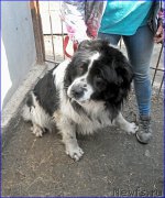 Превью фото № 205333