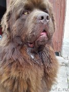 Превью фото № 205367