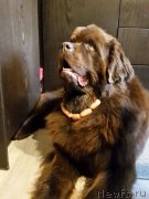 Превью фото № 205368