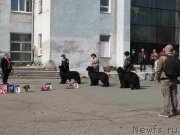 Превью фото № 205374